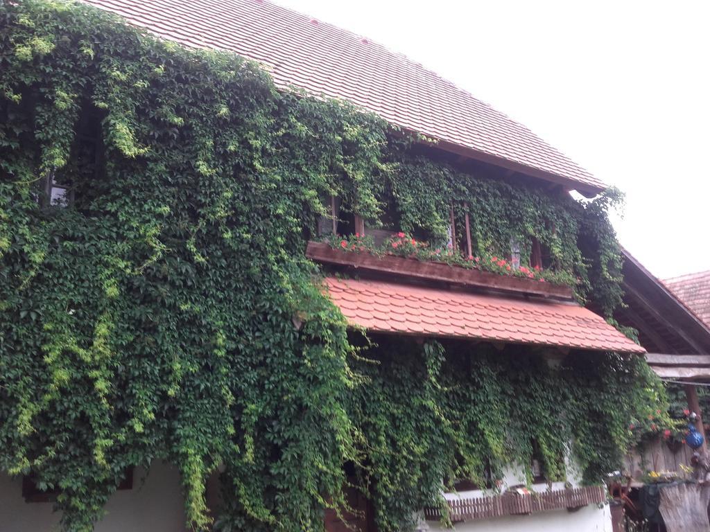 Rural Tourism Family Ravlic Muzilovcica Exterior foto